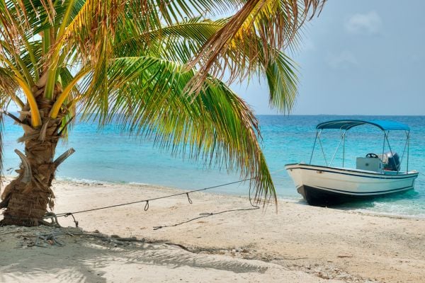 Boat and palm tree on a sandy beach in Belize