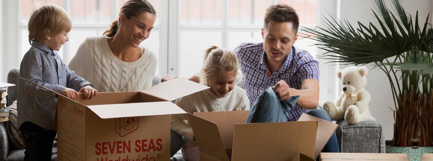 International removals and shipping from Ireland