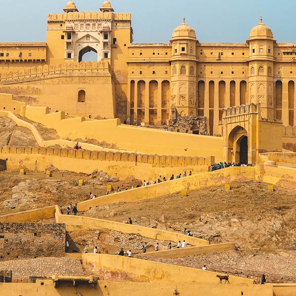 Travel Amber India