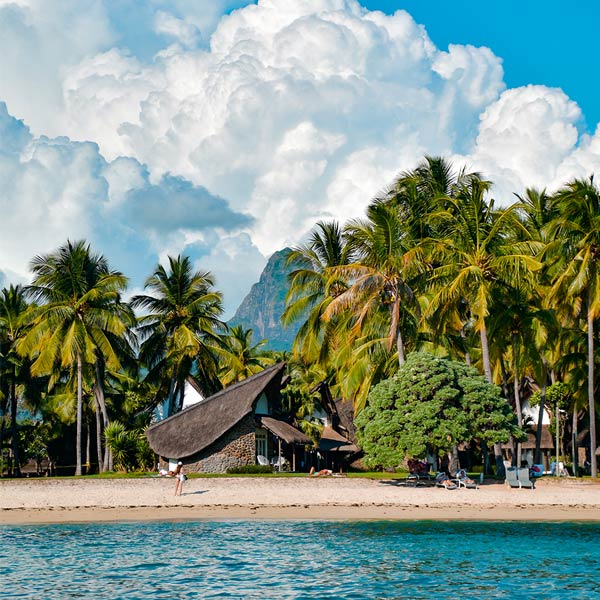 Beach with palm trees in Mauritius