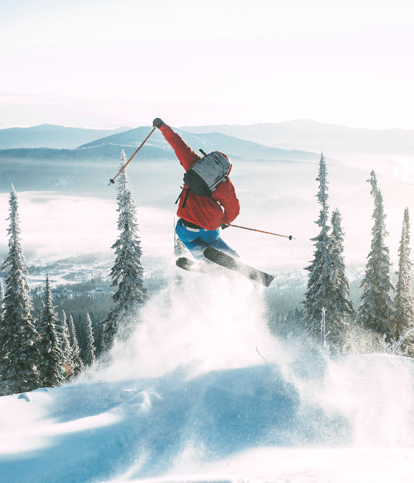 Person skiing through a forest